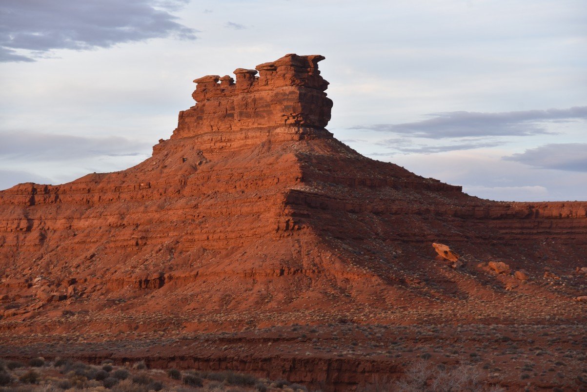 dsc_5300_fs.jpg
