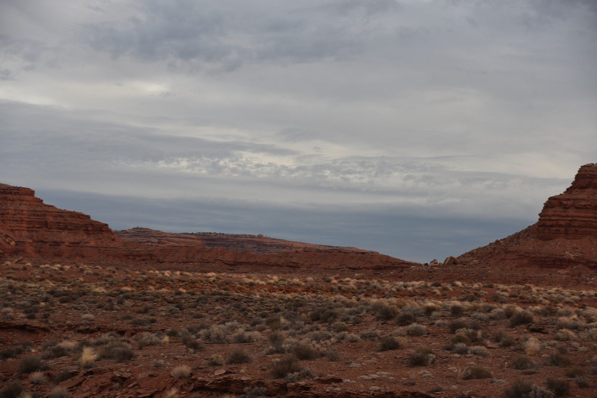 dsc_5302_fs.jpg