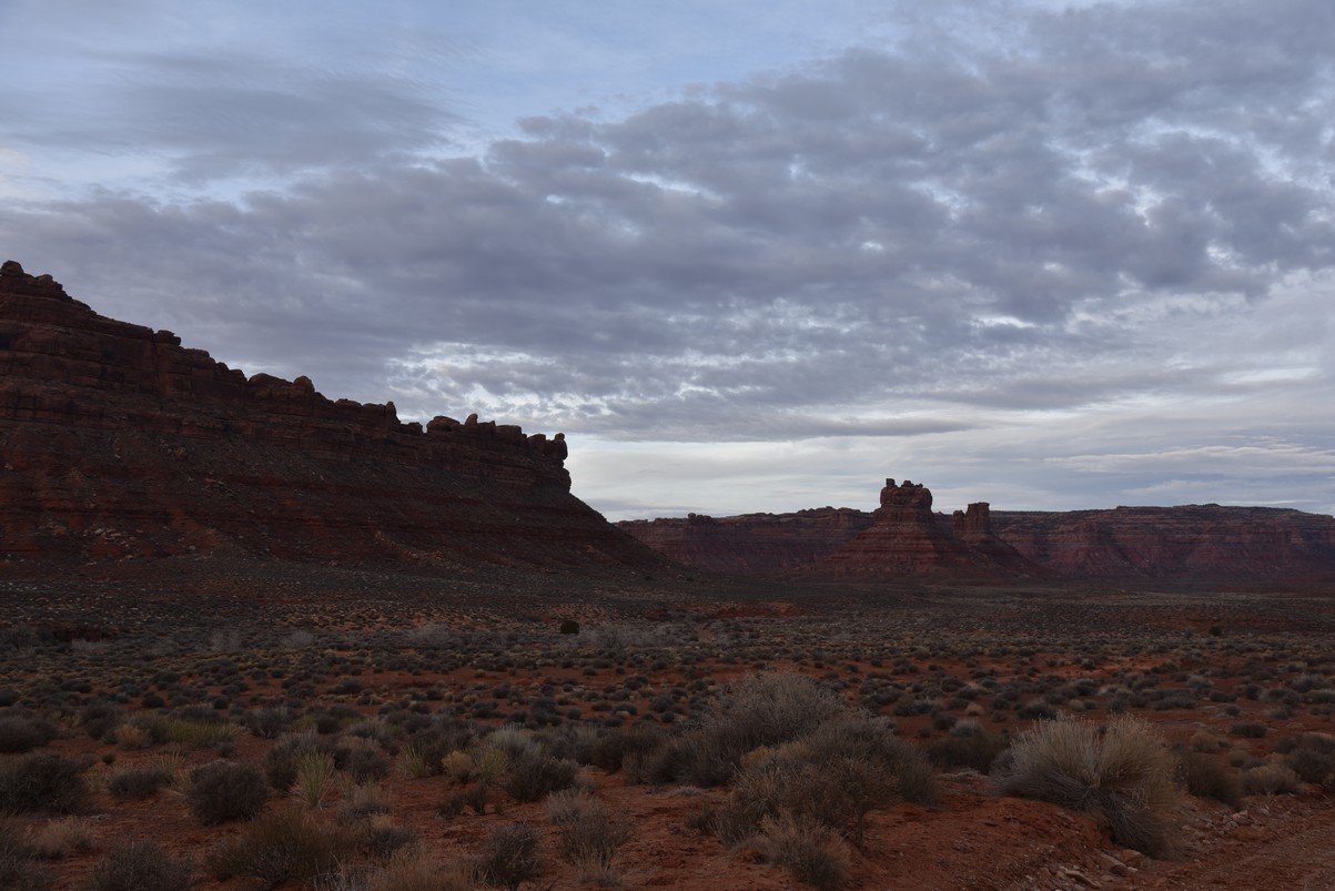 dsc_5324_fs.jpg