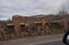 dsc_5451_fs_small.jpg