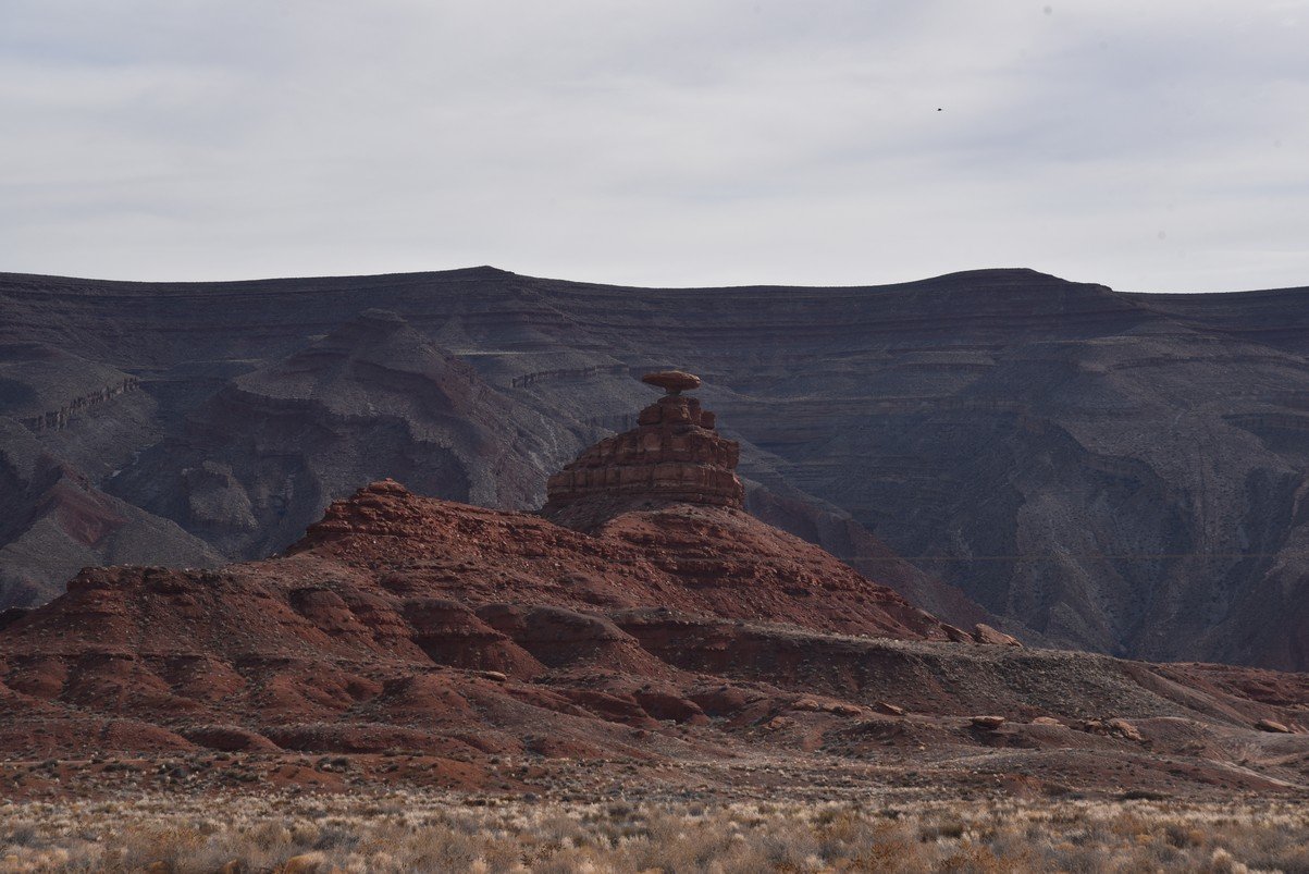 dsc_5464_fs.jpg