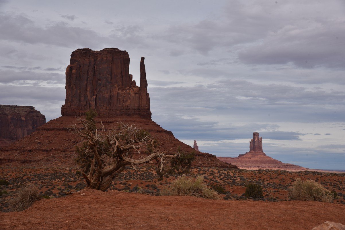 dsc_5536_fs.jpg