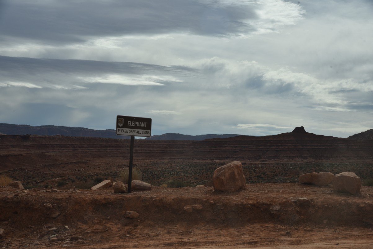 dsc_5537mvelephantbutte.jpg