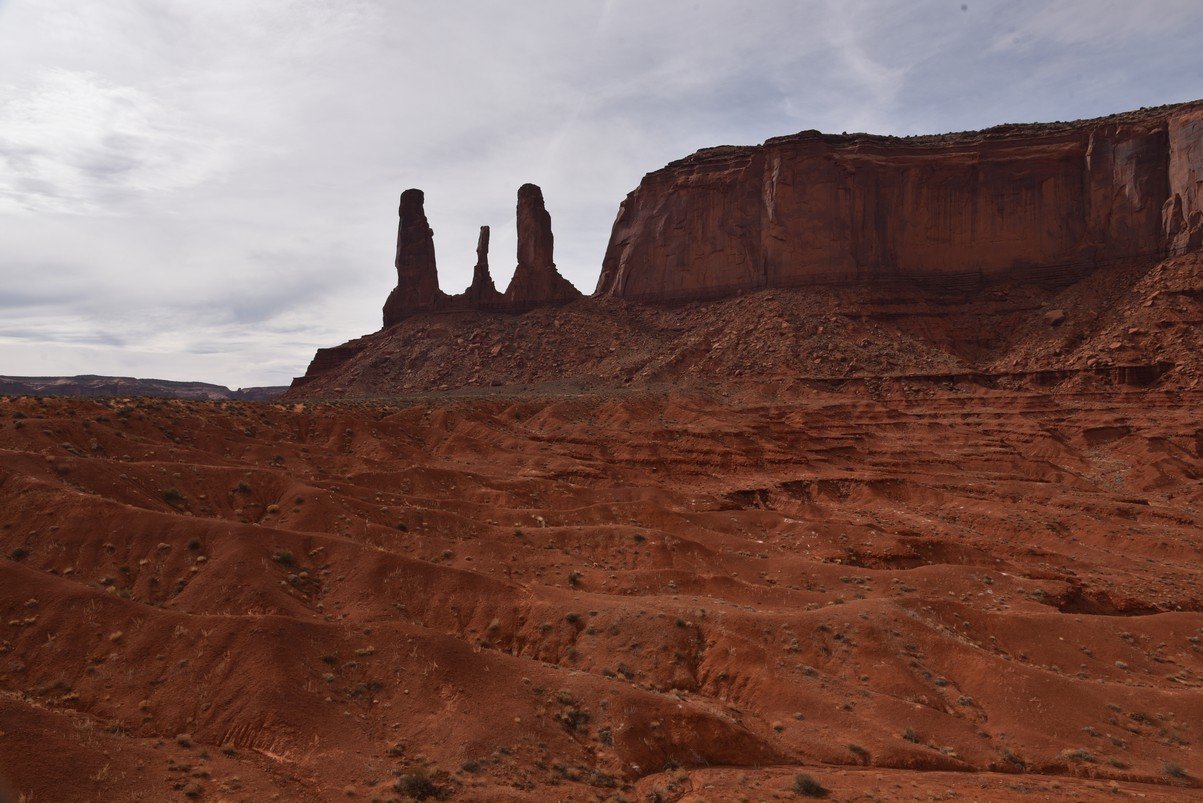dsc_5566_fs.jpg