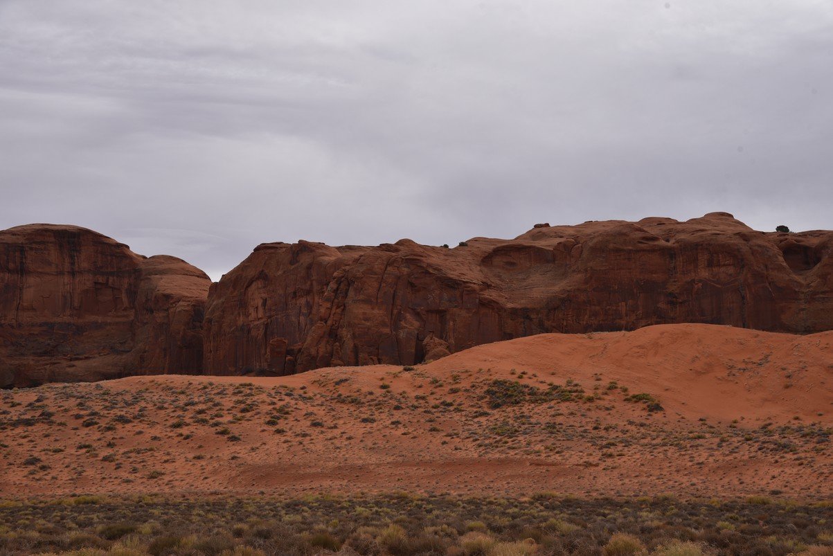 dsc_5610_fs.jpg