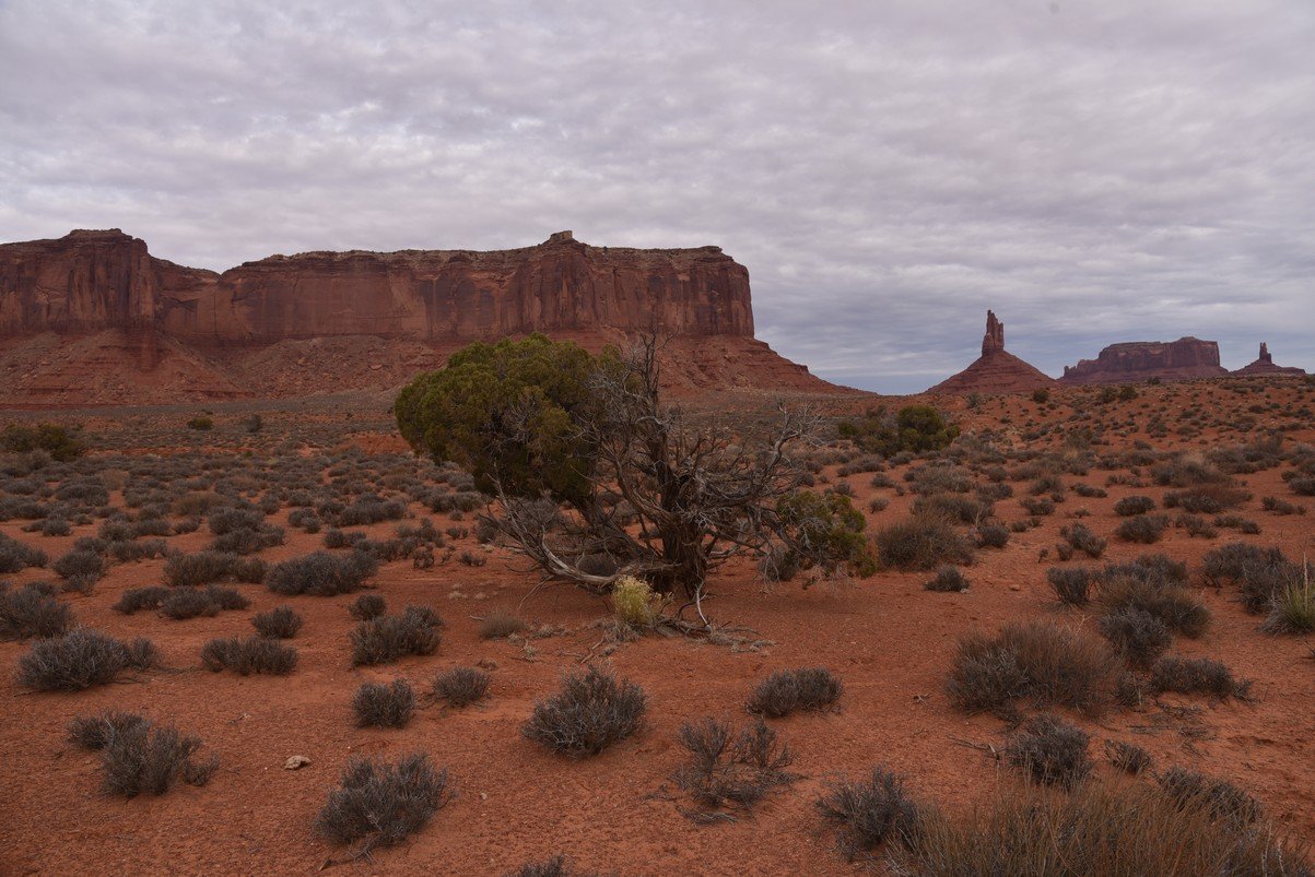 dsc_5791_fs.jpg