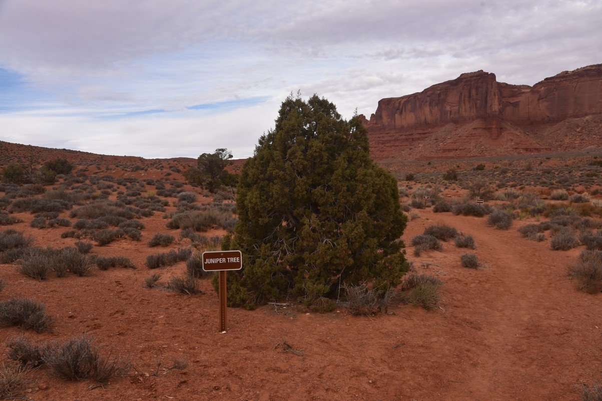 dsc_5793_fs.jpg