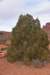 dsc_5794_fs_small.jpg