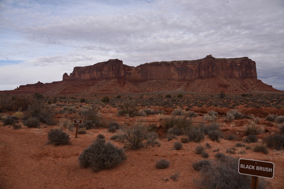 dsc_5797_fs.jpg