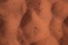 dsc_5804_fs_small.jpg
