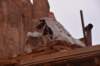 dsc_5812_fs_small.jpg