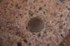 dsc_5828_fs_small.jpg