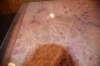 dsc_5833_fs_small.jpg