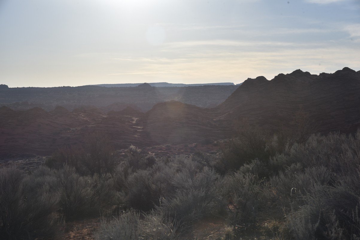 dsc_5966_fs.jpg