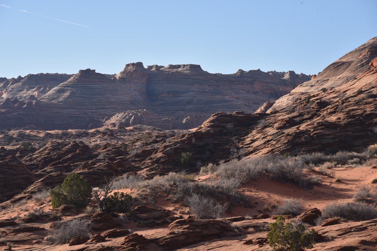 dsc_5974_fs.jpg
