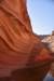 dsc_6006_fs_small.jpg