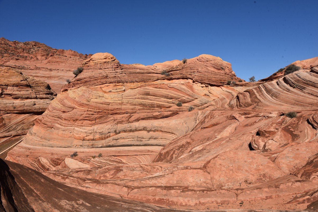 dsc_6096_fs.jpg
