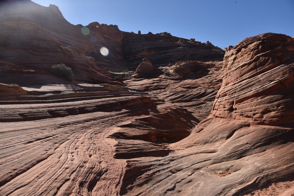 dsc_6098_fs.jpg