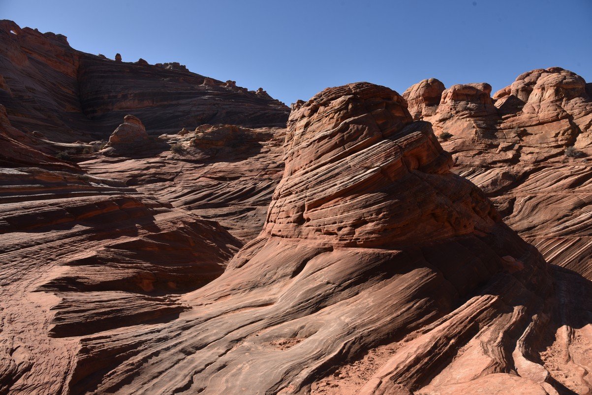 dsc_6099_fs.jpg