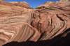 dsc_6118_fs_small.jpg