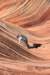 dsc_6164_fs_small.jpg