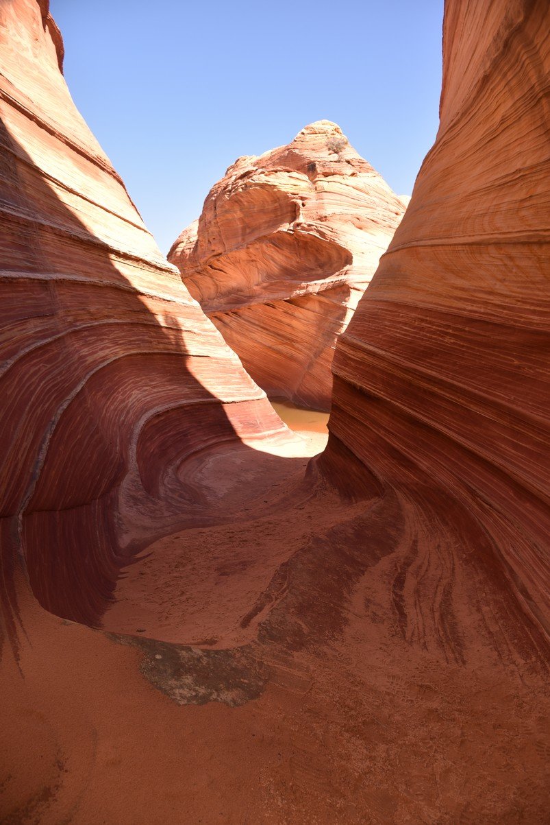 dsc_6202_fs.jpg