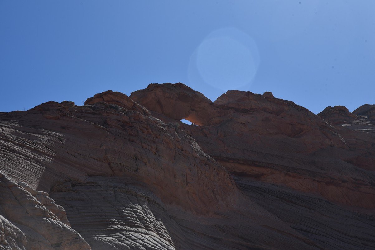 dsc_6210_fs.jpg