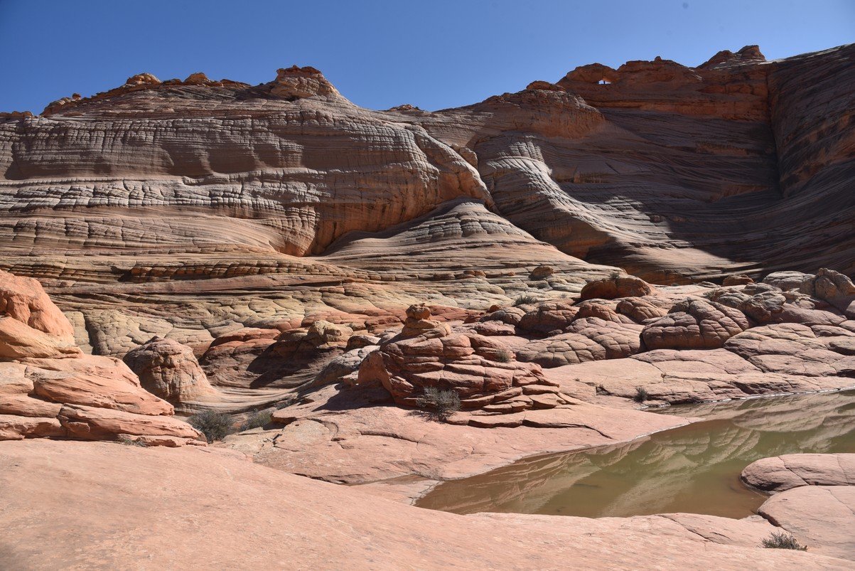 dsc_6213_fs.jpg