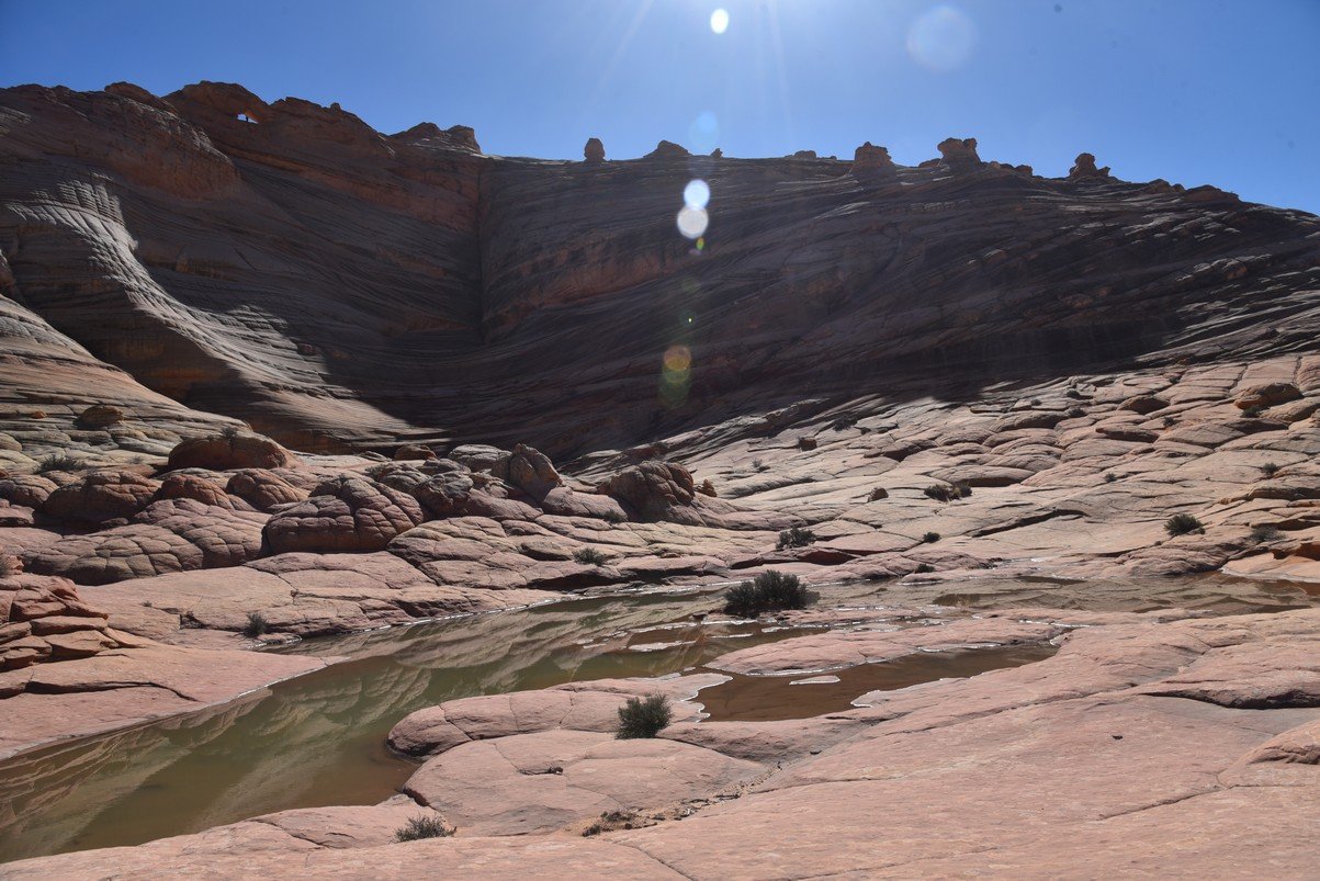dsc_6216_fs.jpg
