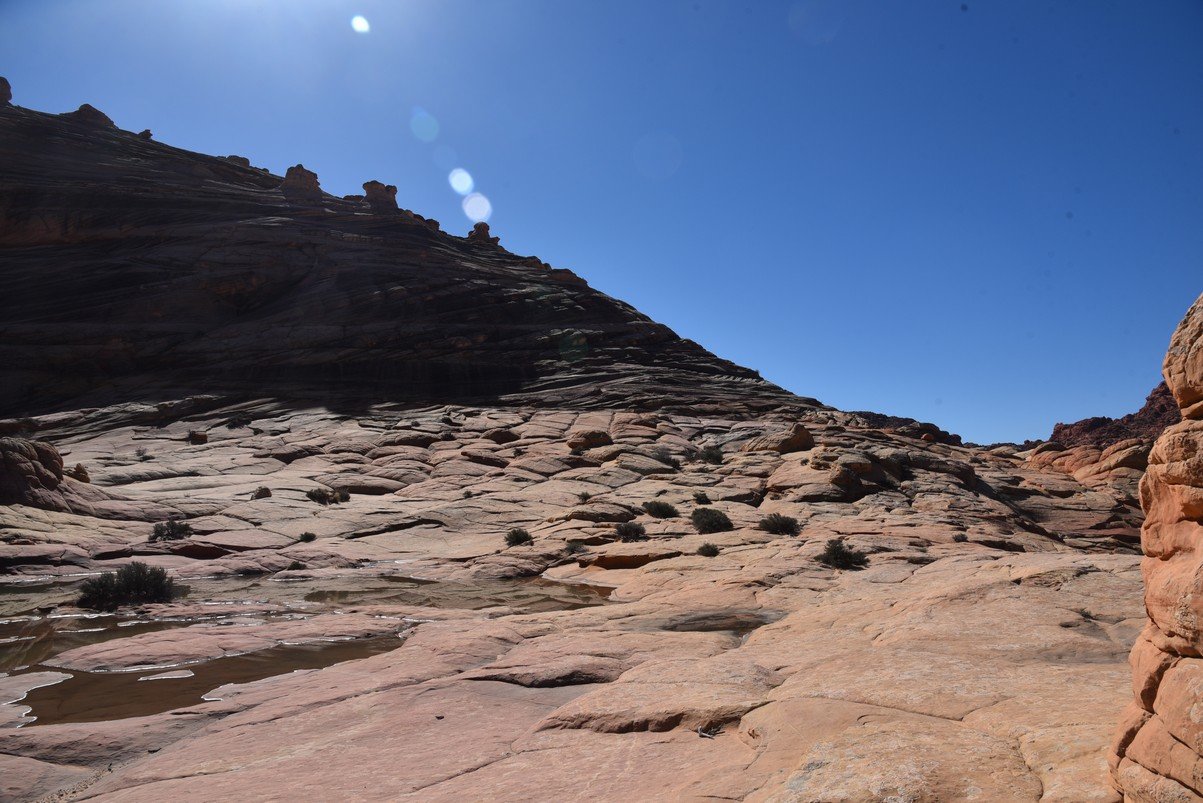 dsc_6218_fs.jpg