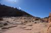 dsc_6218_fs_small.jpg