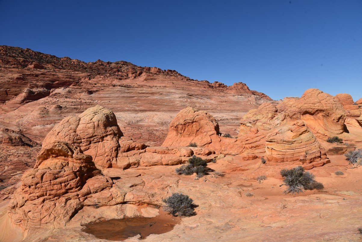 dsc_6224_fs.jpg