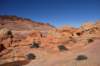 dsc_6225_fs_small.jpg