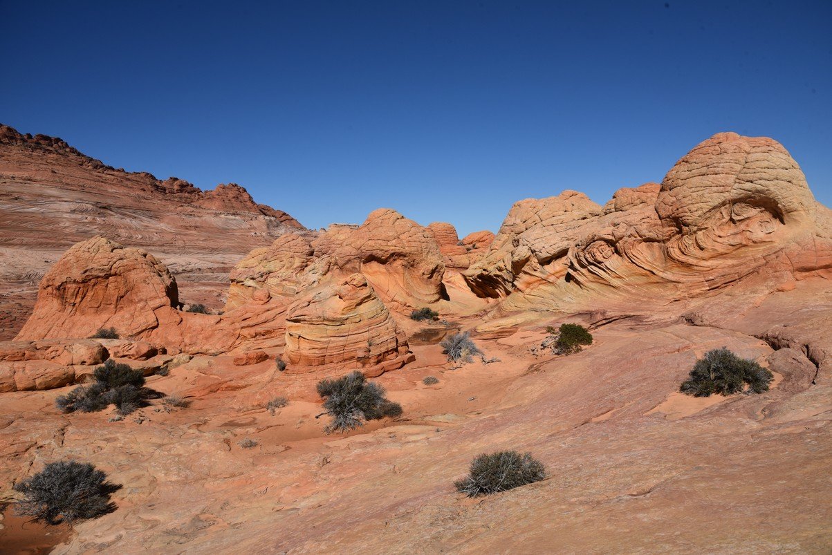 dsc_6226_fs.jpg