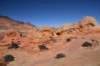 dsc_6226_fs_small.jpg