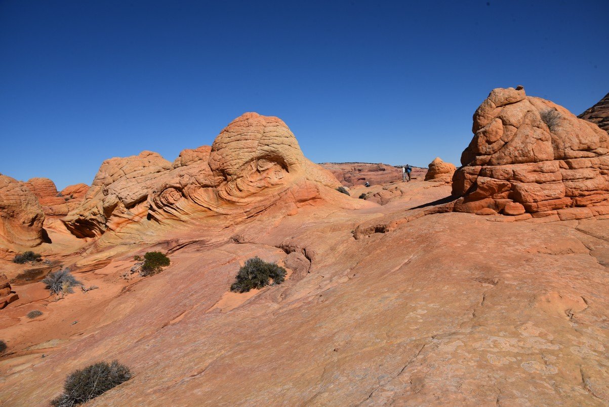 dsc_6228_fs.jpg