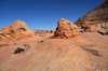 dsc_6229_fs_small.jpg