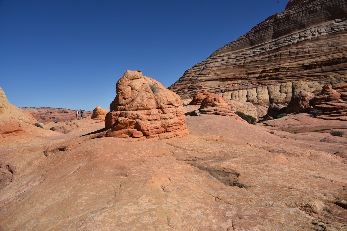 dsc_6230_fs.jpg