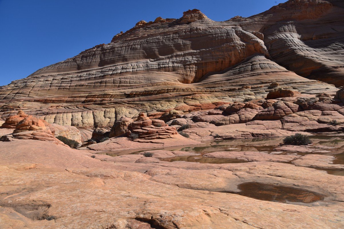 dsc_6232_fs.jpg