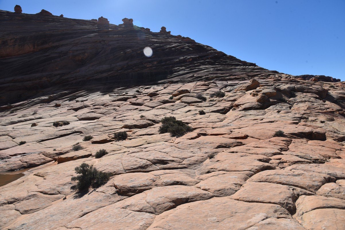 dsc_6237_fs.jpg