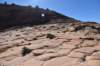 dsc_6237_fs_small.jpg