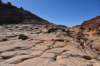 dsc_6238_fs_small.jpg
