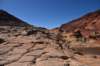 dsc_6239_fs_small.jpg