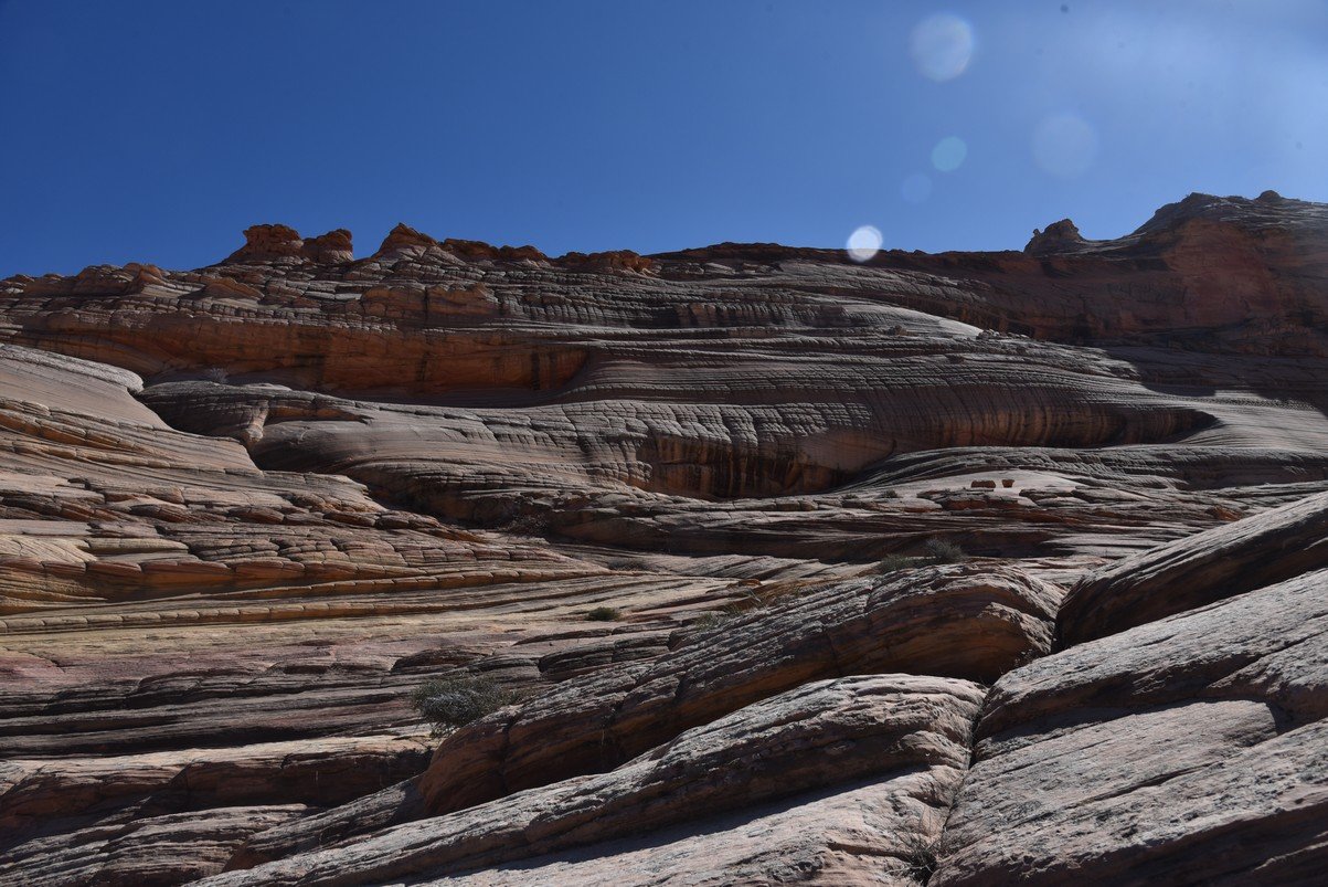 dsc_6262_fs.jpg