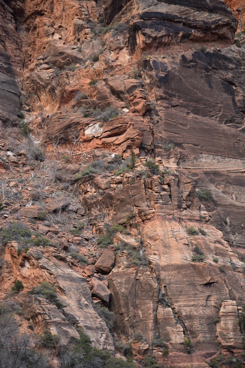 dsc_6529_fs.jpg