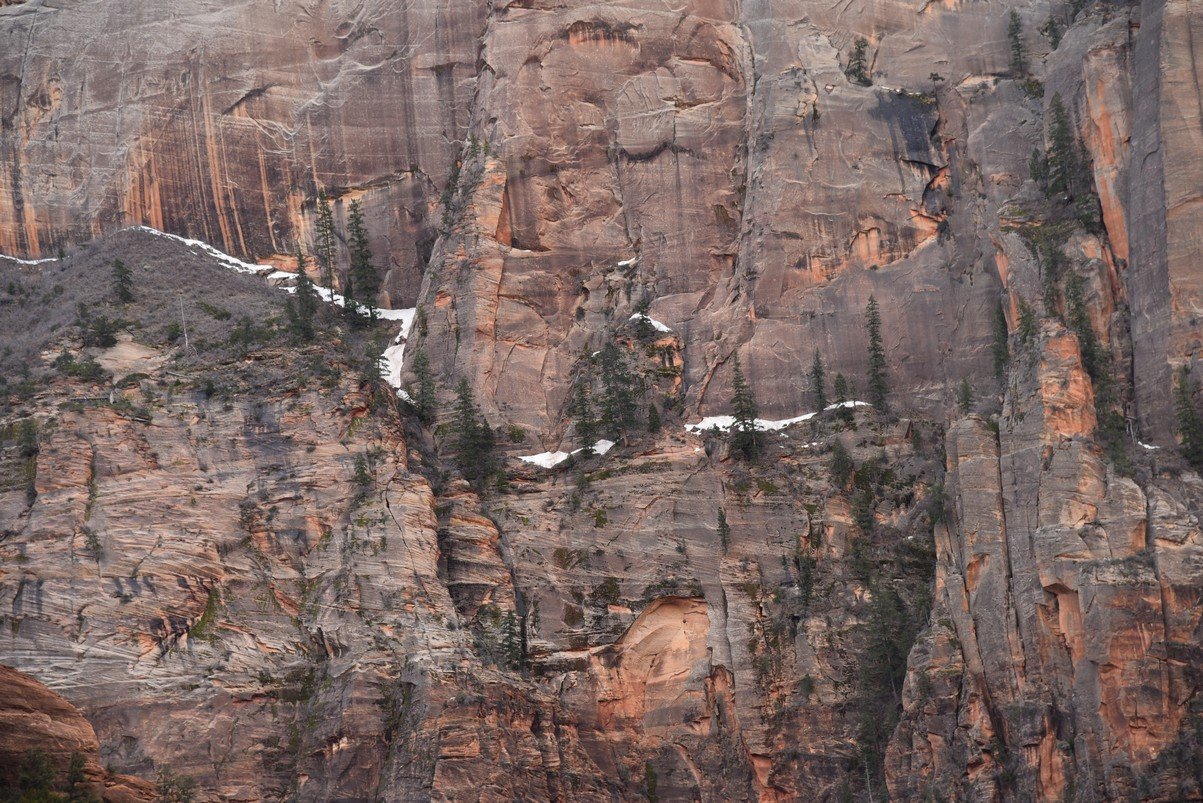 dsc_6532_fs.jpg