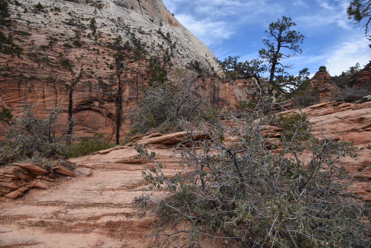 dsc_6548_fs.jpg
