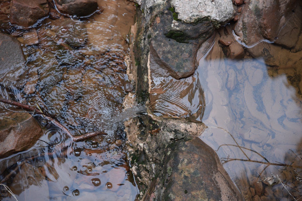 dsc_6565_fs.jpg