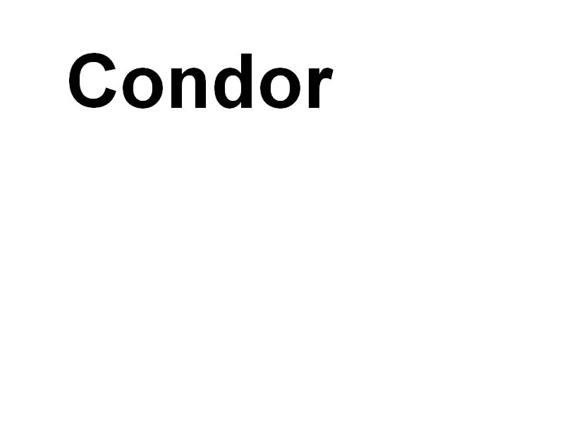 condor.jpg