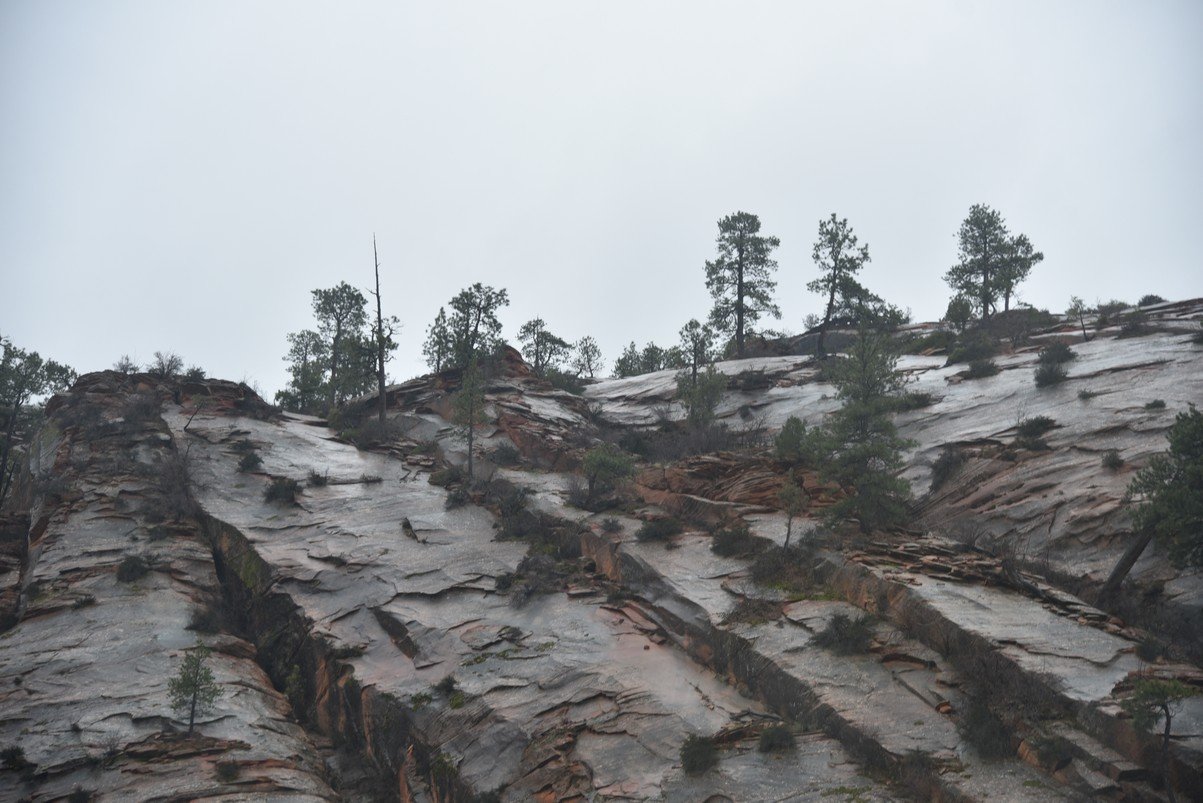 dsc_6575_fs.jpg